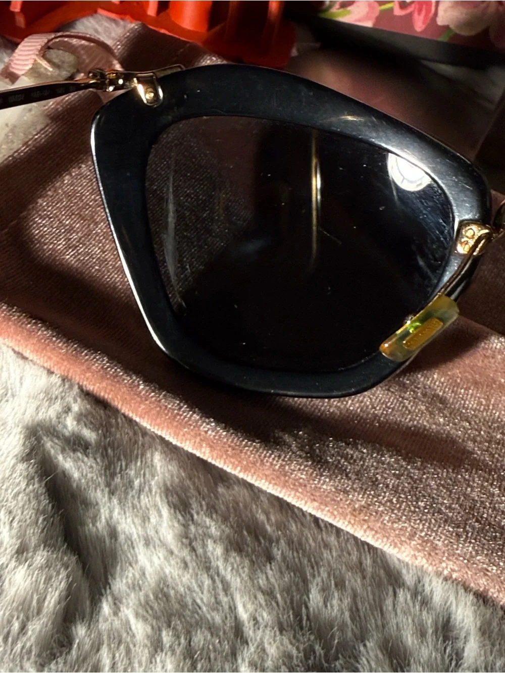 Miu Miu bold cat